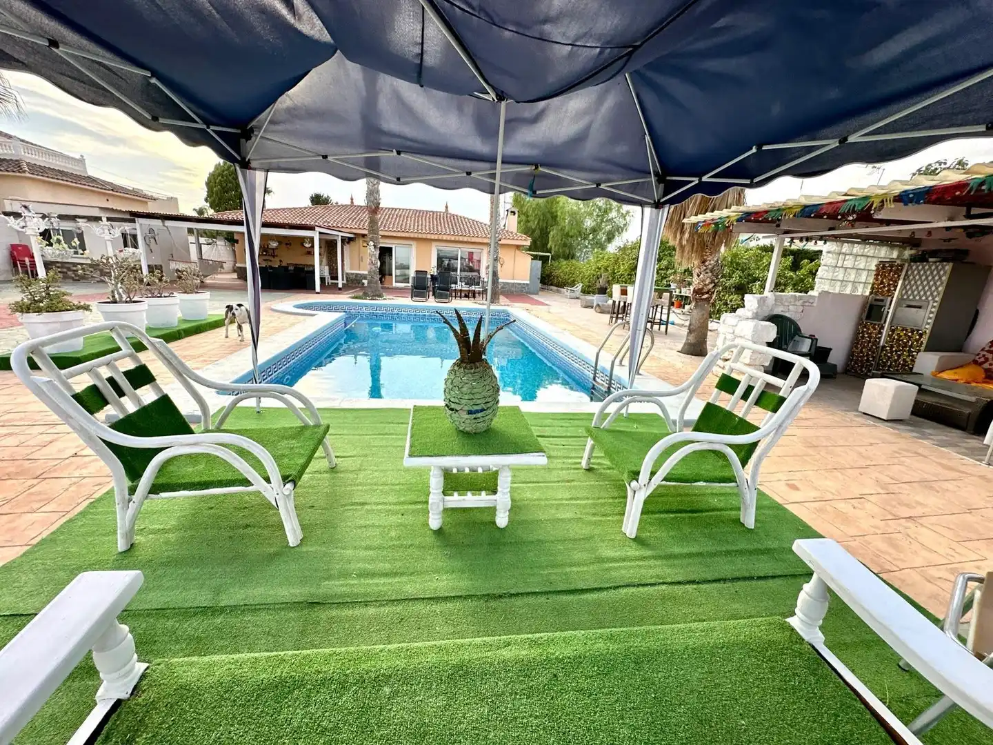 Chalet con piscina en venta en Calle Calle Clavel, imagen 52