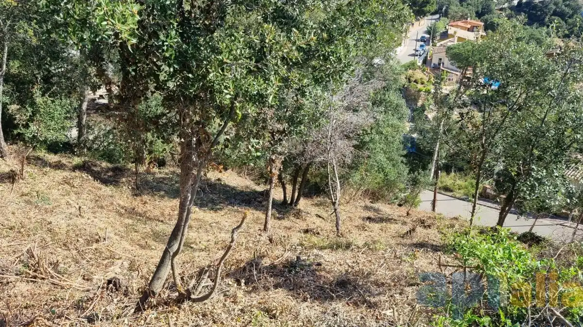 Wohnbaugrundstück zum Verkauf in Carrer Xiprer, imagen 7