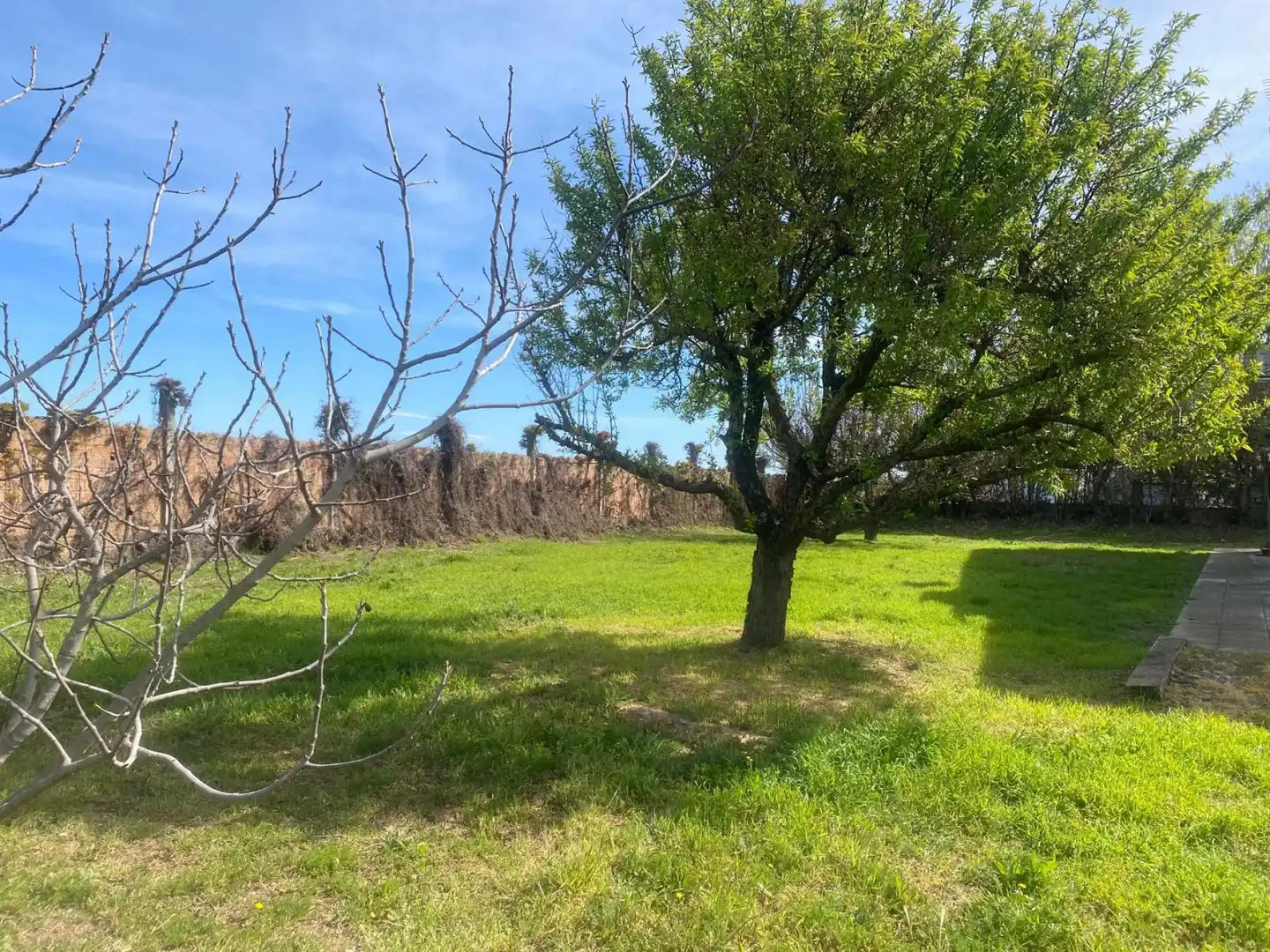 Casa o chalet en venta en Bell-lloc d'Urgell con Calefacción, Jardín privado y Terraza