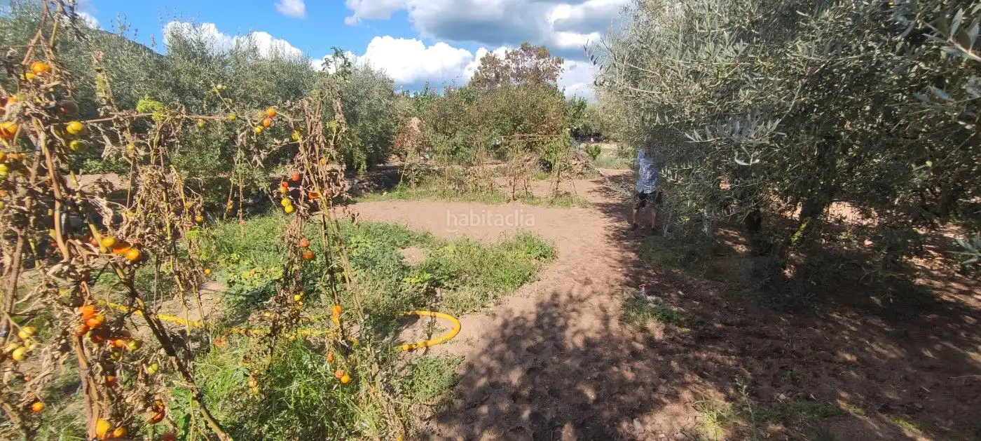Terreno residencial en venta en Urbanitzacio Portugal 97C, imagen 14