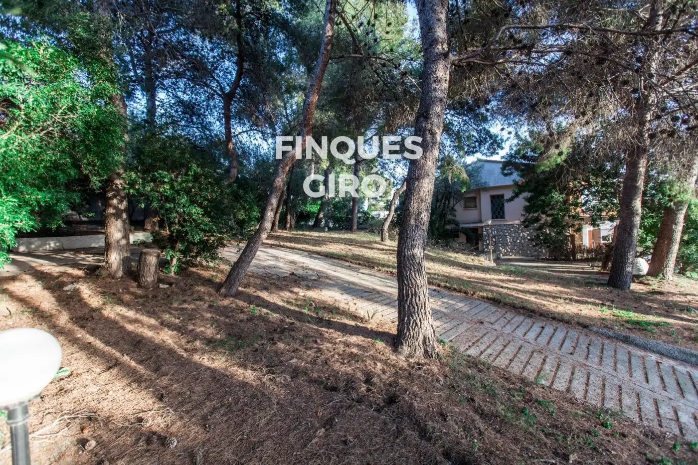 Terrain rustique à vendre à Mèxic, imagen 4