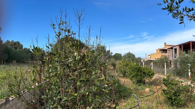 Terreno residencial en Venta en Pòrtol