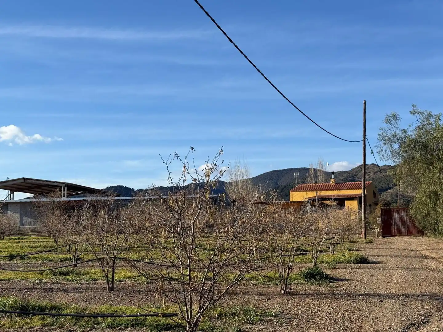 Casa rústica en venta en La Selva del Camp, imagen 45