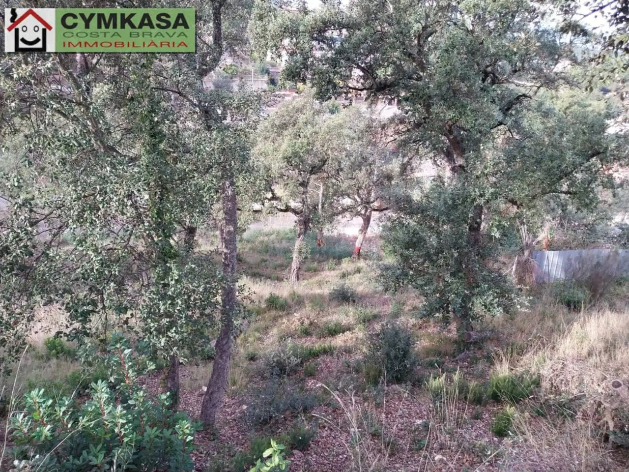 Terrain rustique à vendre à Calle LA FONT, imagen 5