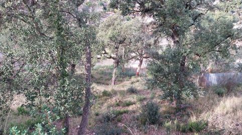 Terreno en venta en MONTBARBAT, imatge 5
