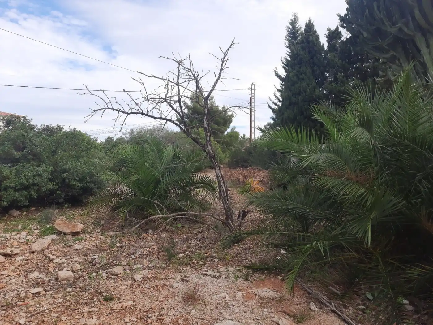 Terreni e lotti in vendita a El Montgó, imagen 11