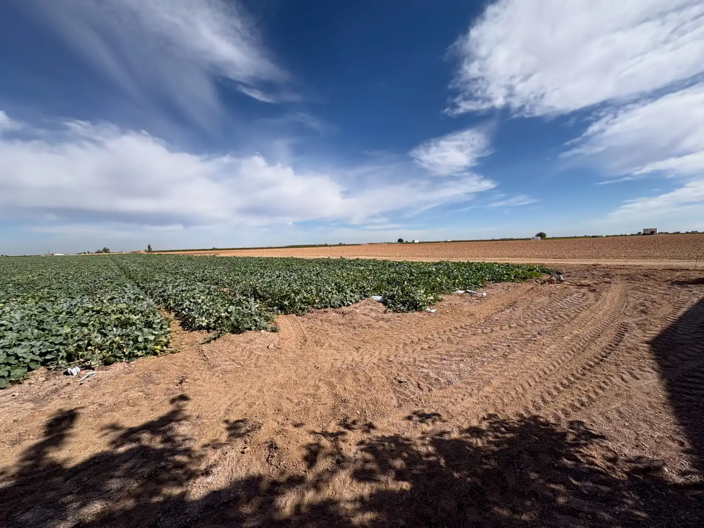 Rural land for sale in CM-400 580, imagen 15