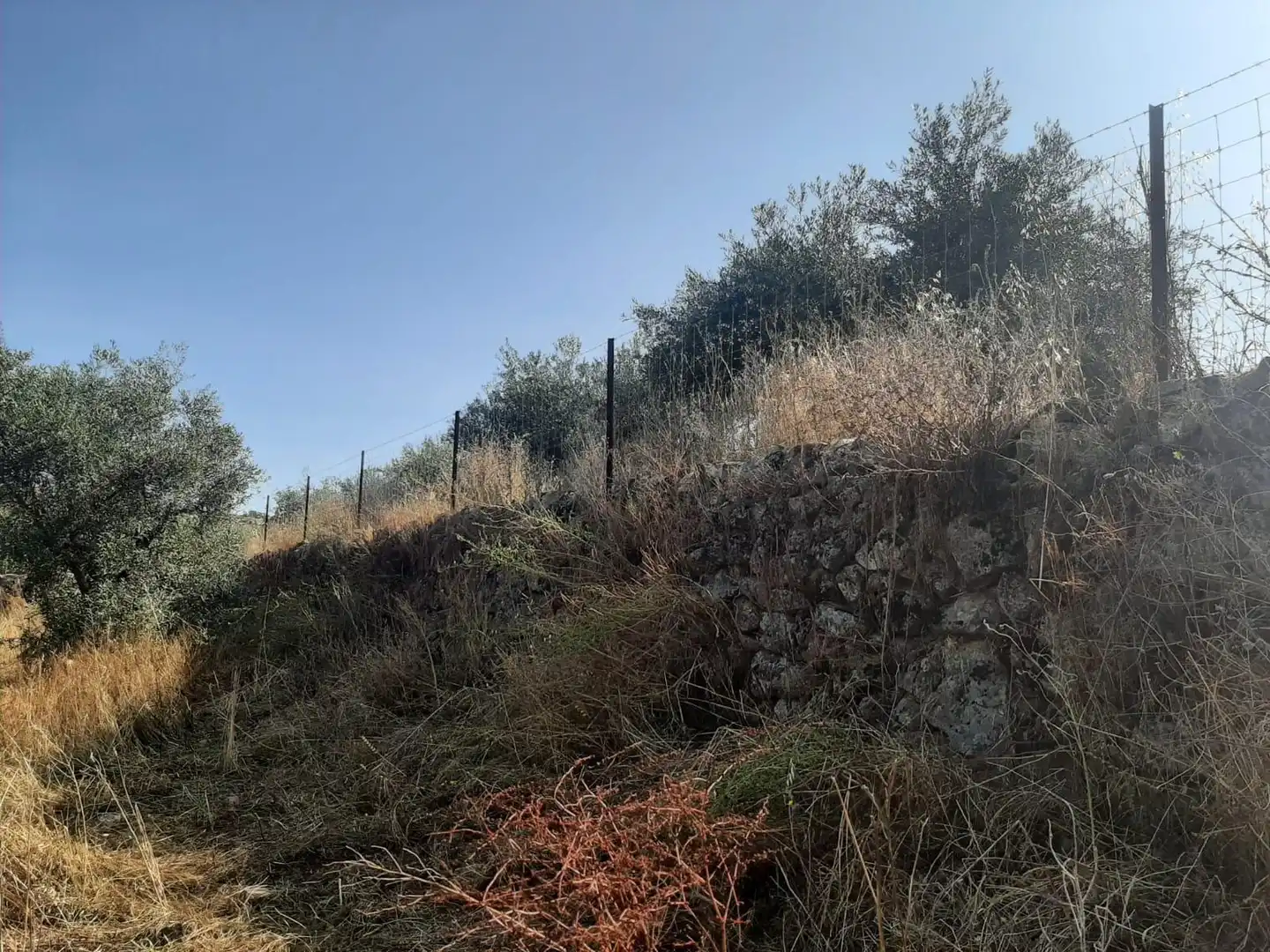 Terreni e lotti in vendita a Casas de Don Antonio, imagen 5
