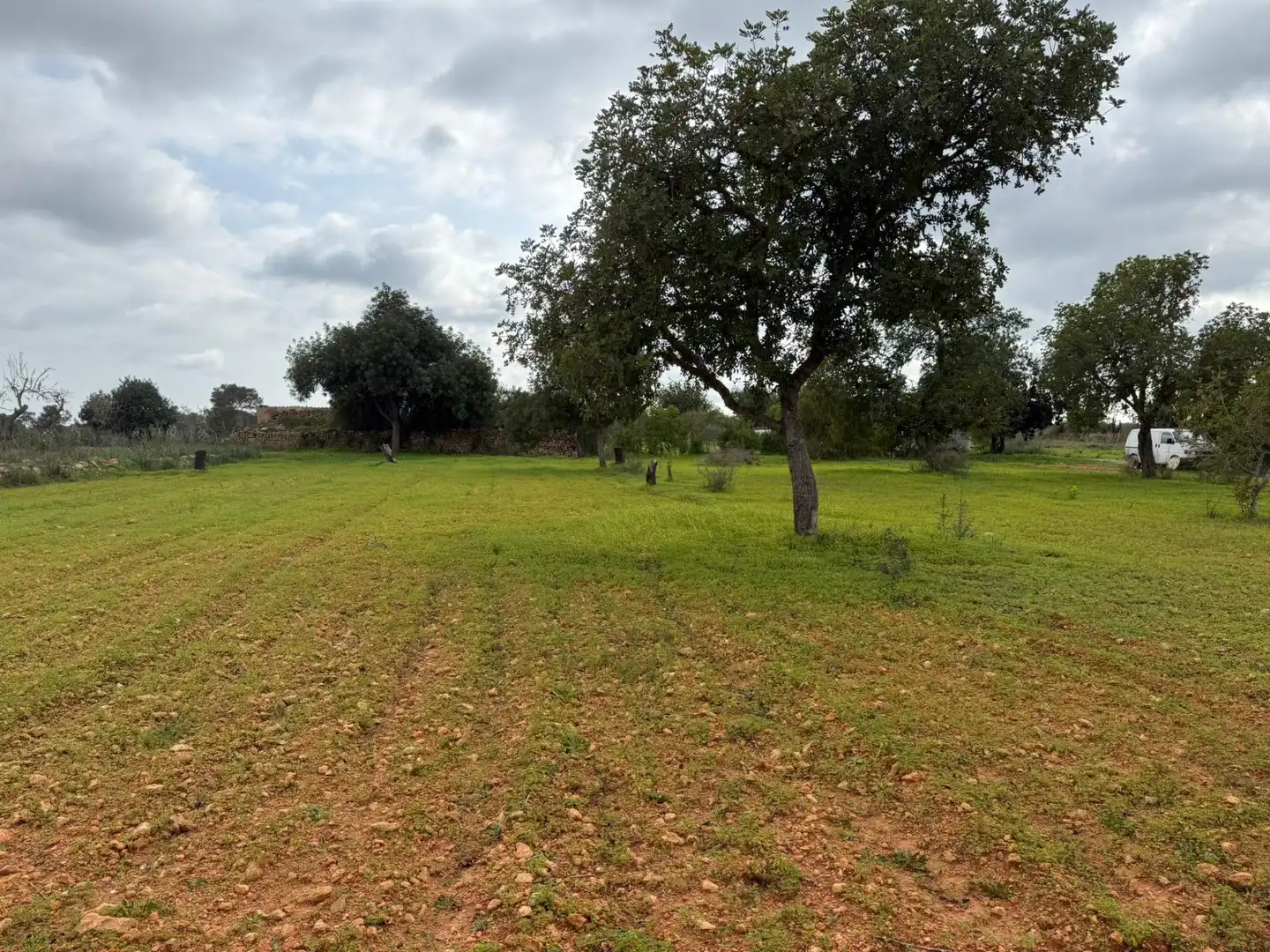 Terreno rustico in vendita a Llucmajor pueblo