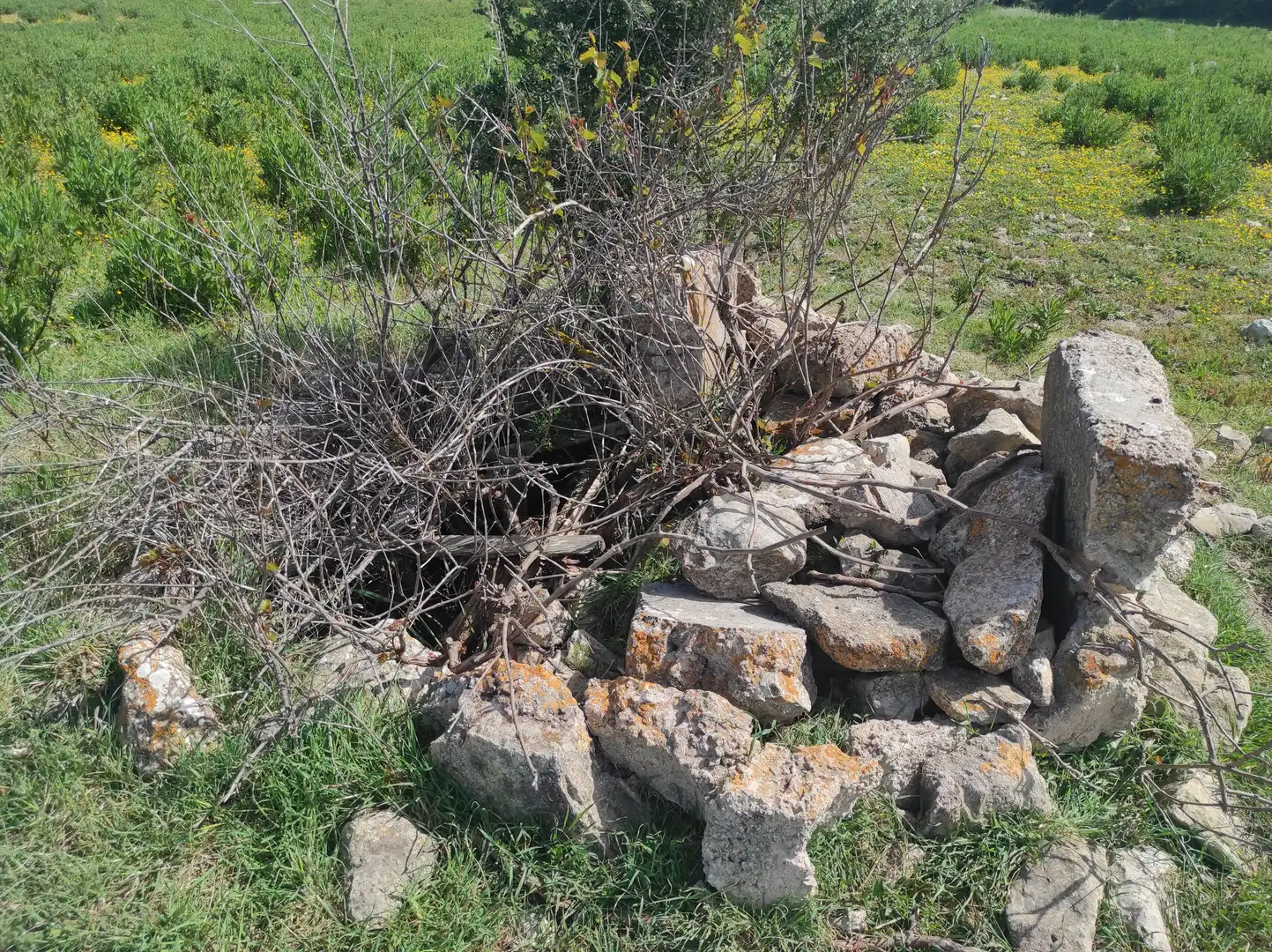 Terreno residencial en venta en Sineu, imagen 19