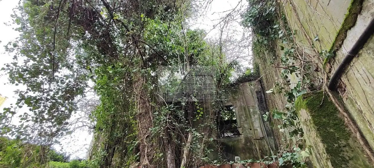 Vista exterior de Casa o chalet en venta en Moaña con Calefacción y Jardín privado