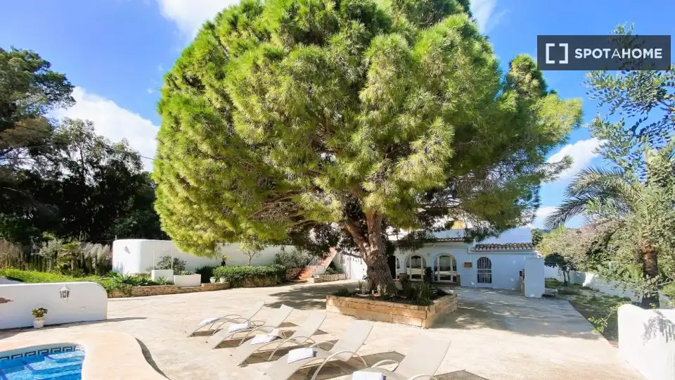 Room in La Fustera