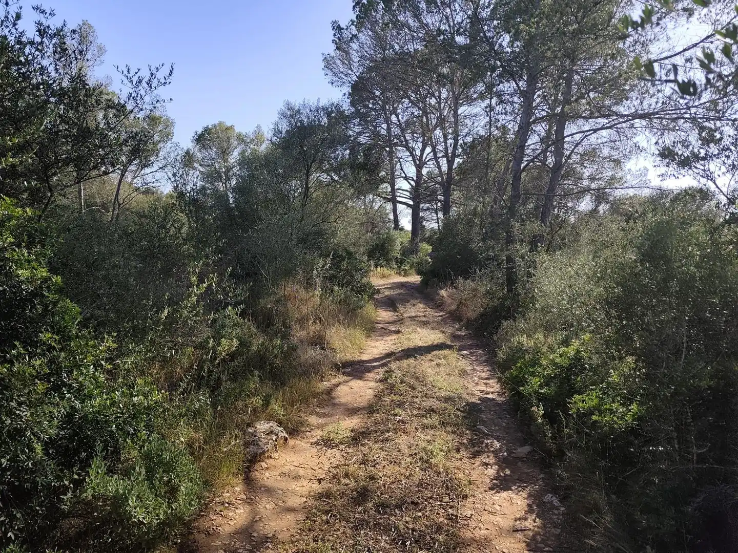 Finca rústica en venta en Algaida