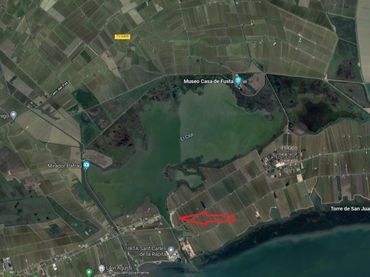 Terrain rustique à vendre à Eucaliptus- Poble Nou del Delta