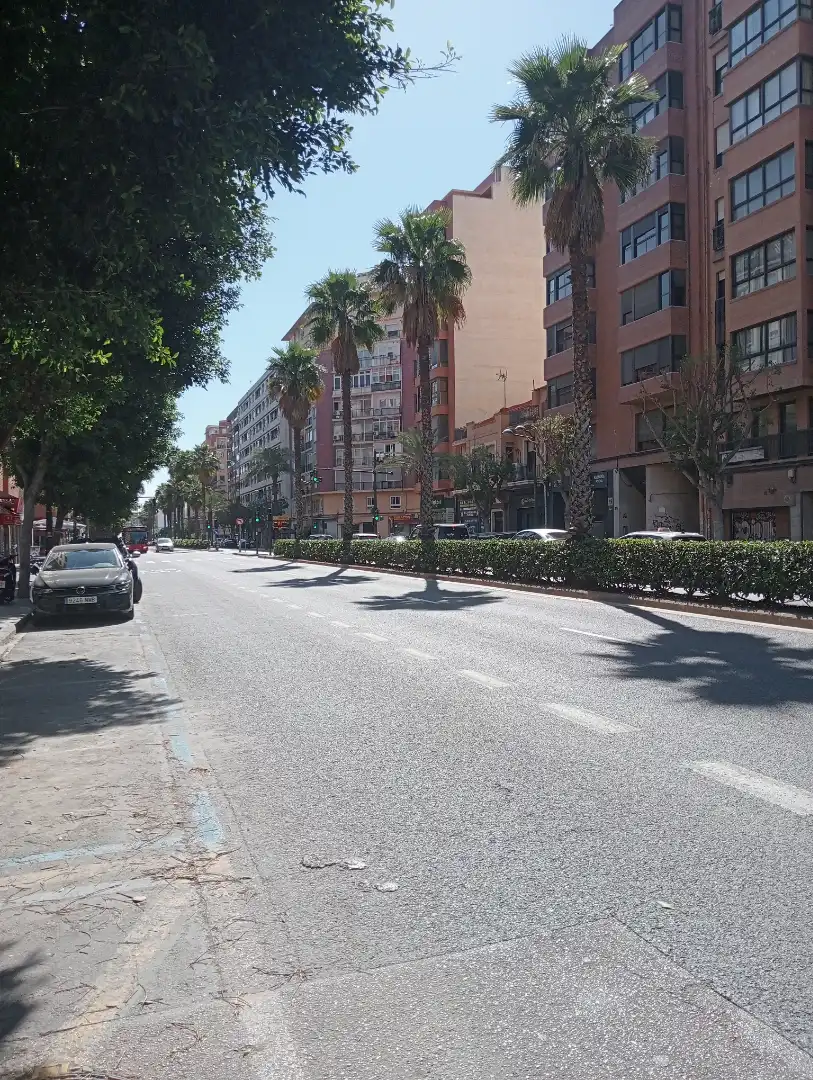 Vista exterior de Piso en venta en Valencia con Aire acondicionado, Parquet y Amueblado