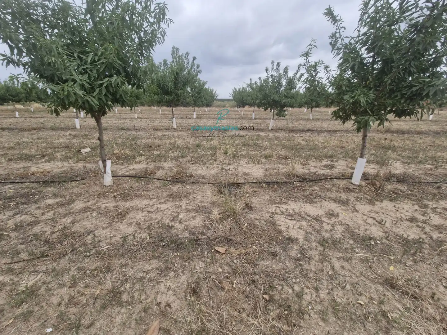 Finca rústica en venda en Tarragona amb Calefacció, Jardí privat i Terrassa