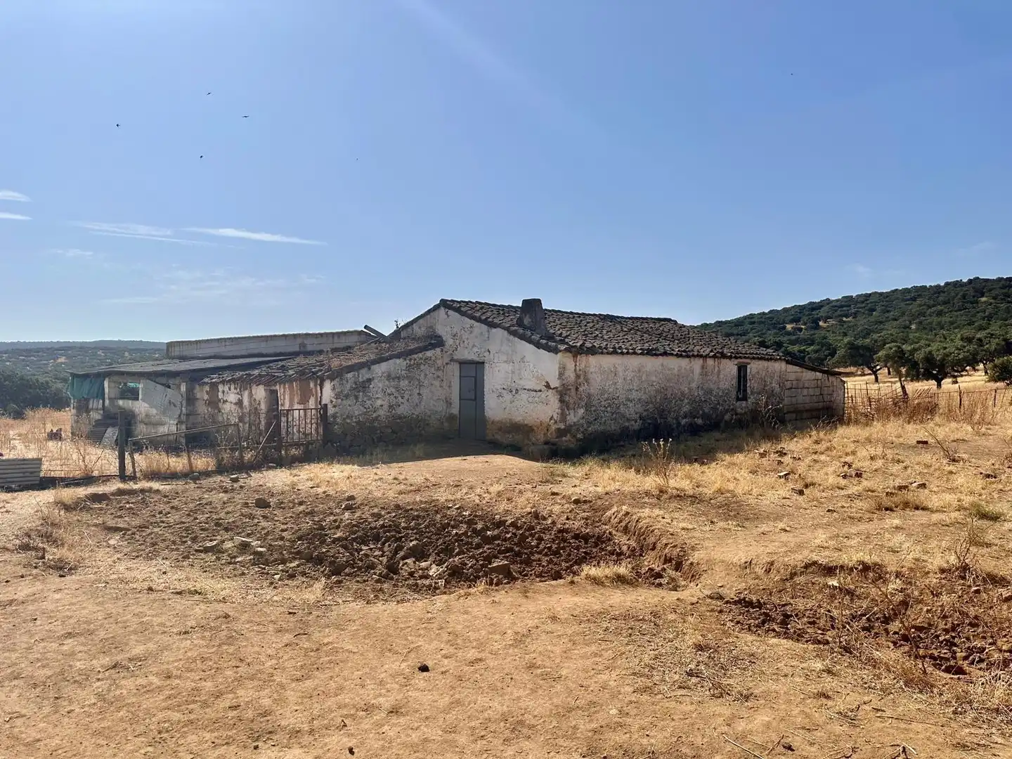 Rural land for sale in Fuente Obejuna, imagen 5