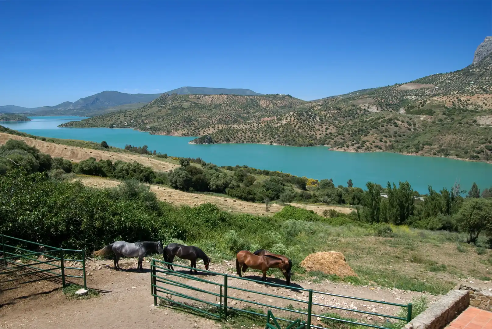 Vista exterior de Casa o chalet en venta en Grazalema con Aire acondicionado, Calefacción y Jardín privado