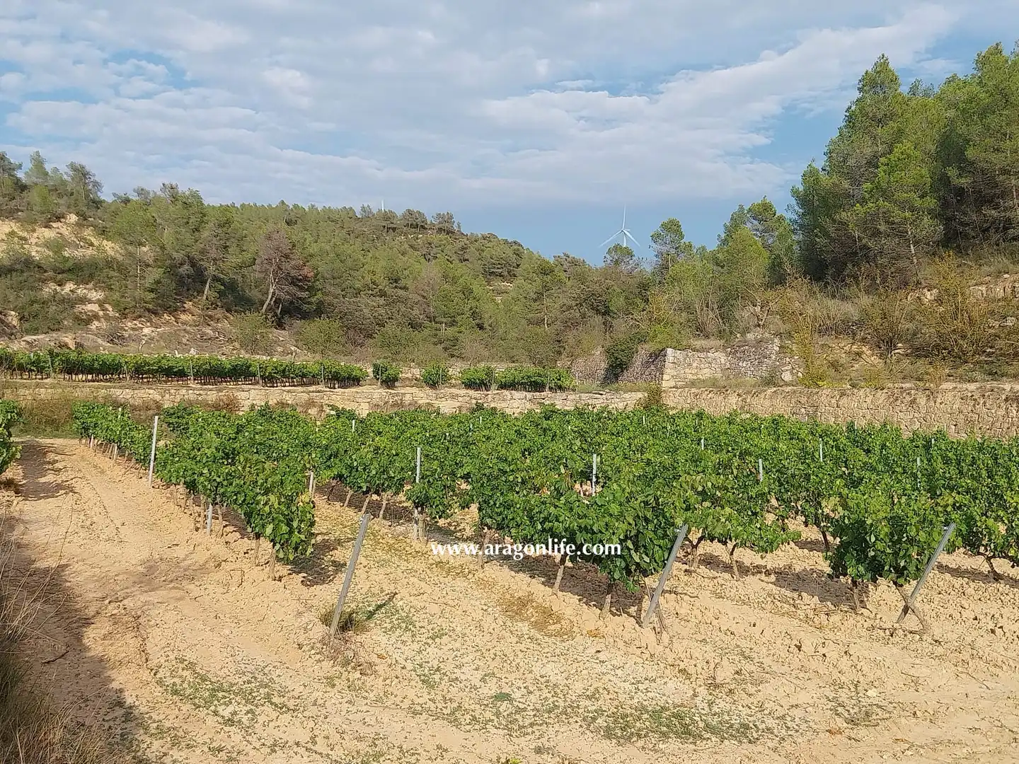 Finca rústica en venda en Caseres