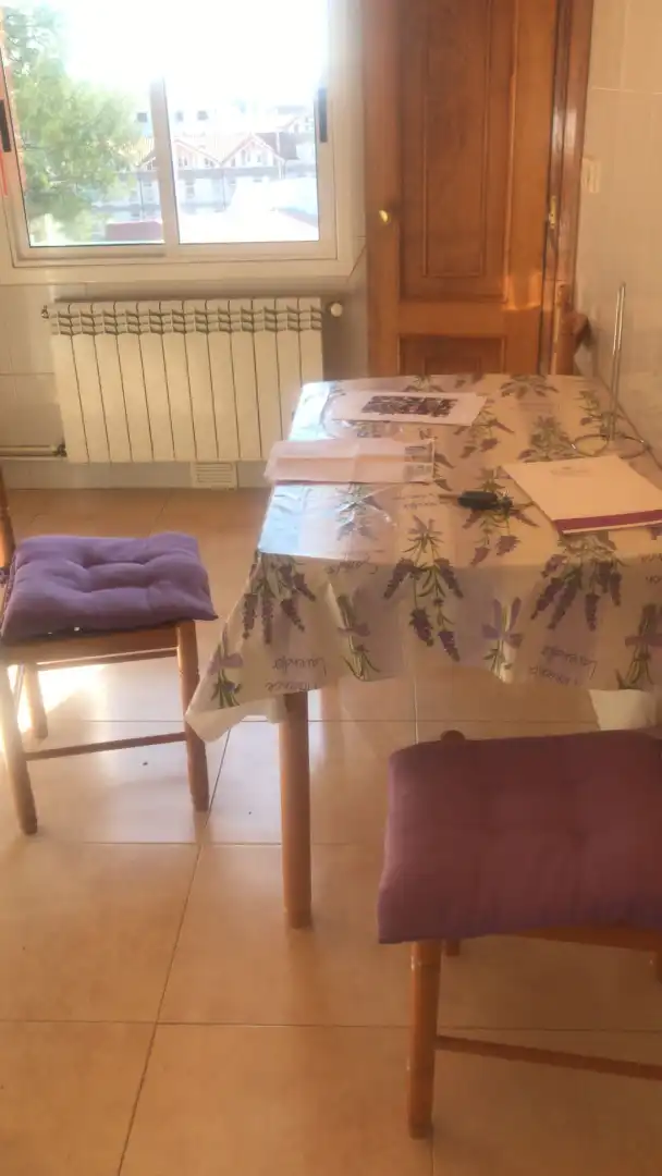 Flat to rent in Travesía do Escultor Asorey, imagen 13