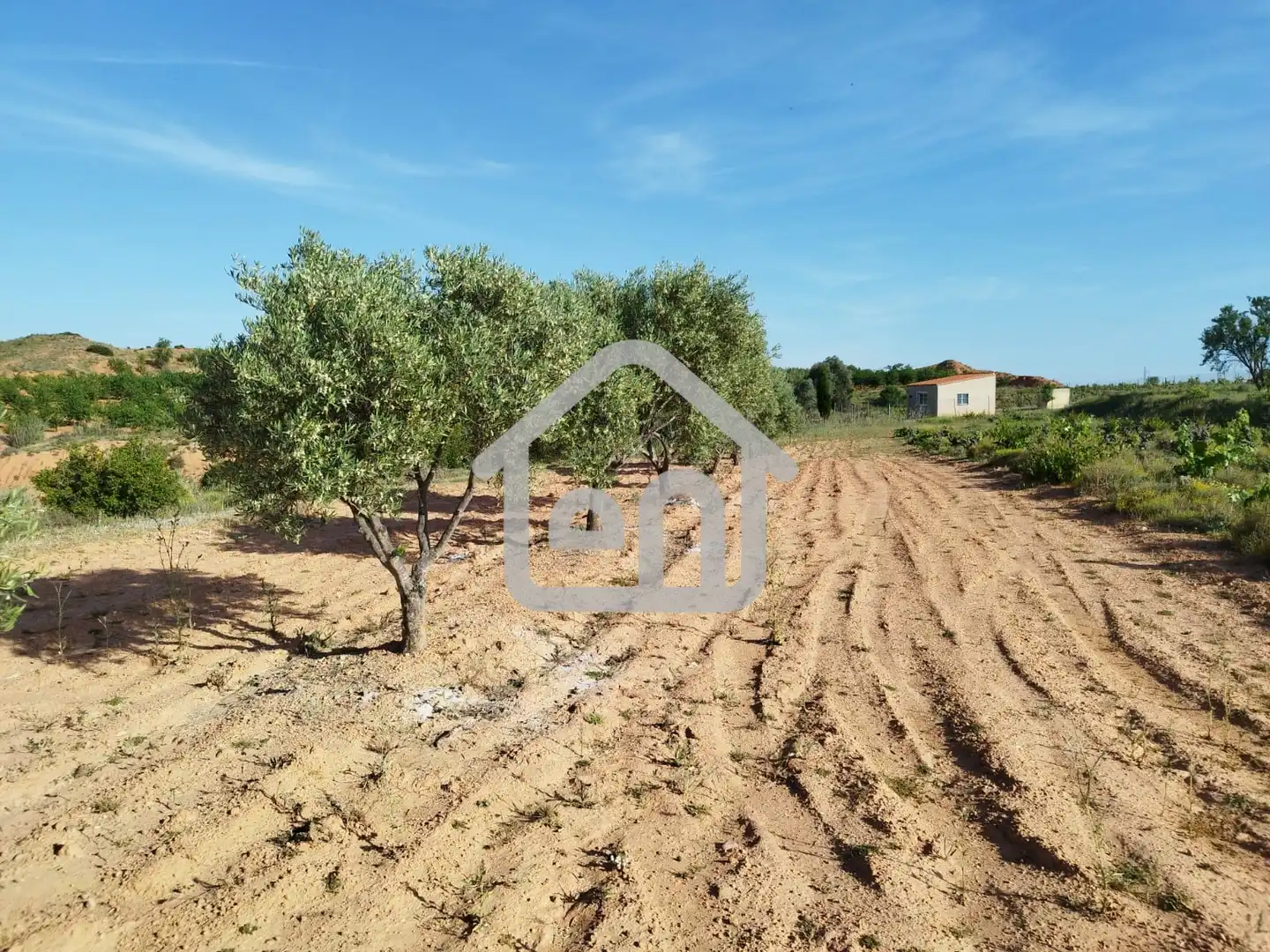 Rural land for sale in Requena, imagen 20