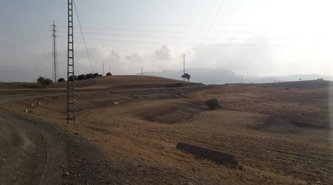 Foto 4 de Terreno en venta en Gibralgalía, Cártama