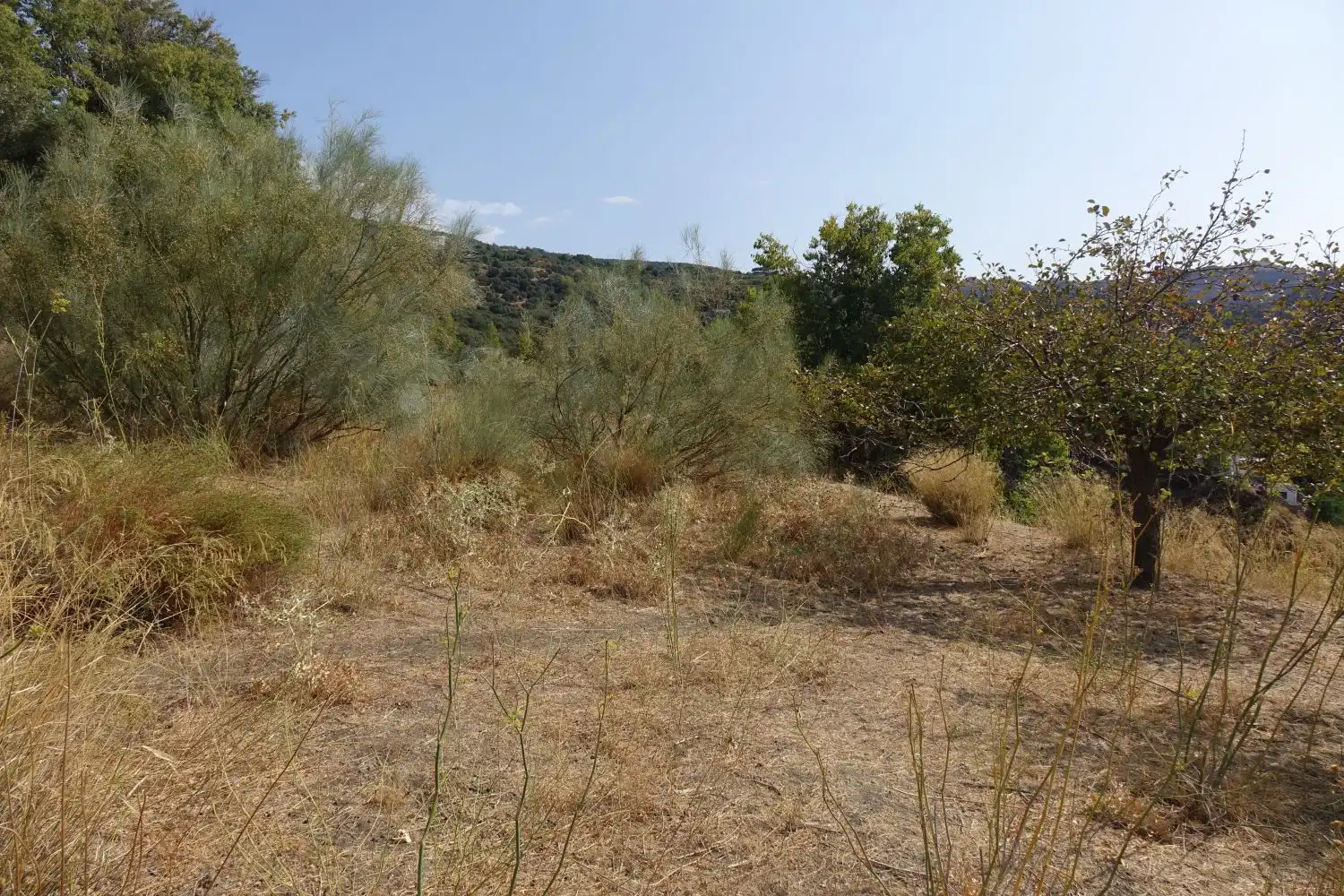 Finca rústica en venta en La Taha