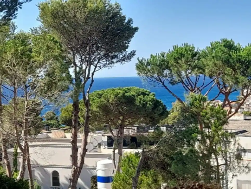 Apartamento de alquiler en Carrer Ginjoler, 10, Los Pinos - Politur