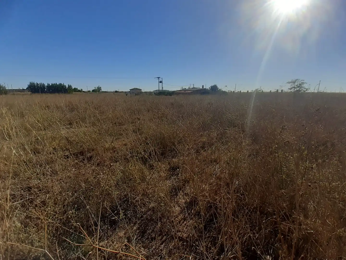 Land for sale in Coreses