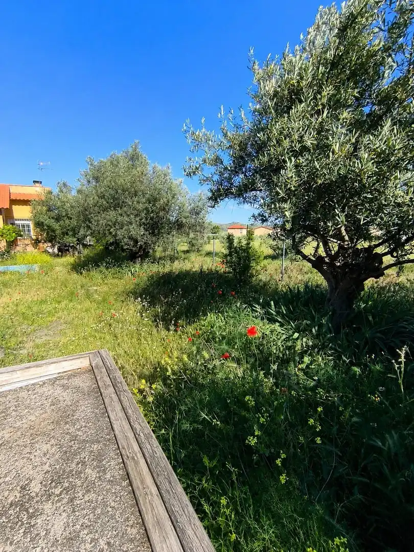 Casa o xalet de lloguer amb opció a compra en Torremocha de Jarama amb Calefacció, Jardí privat i Traster