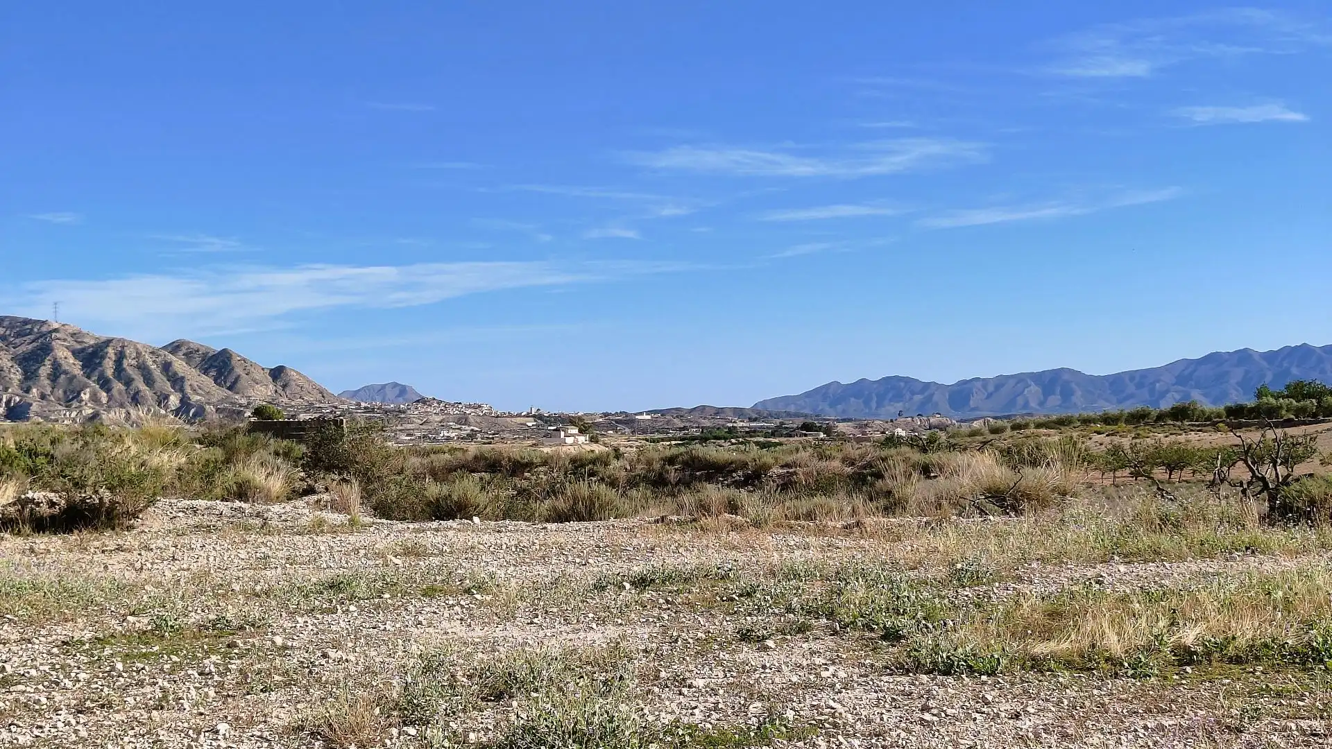Lands and plots for sale in Abanilla, imagen 3