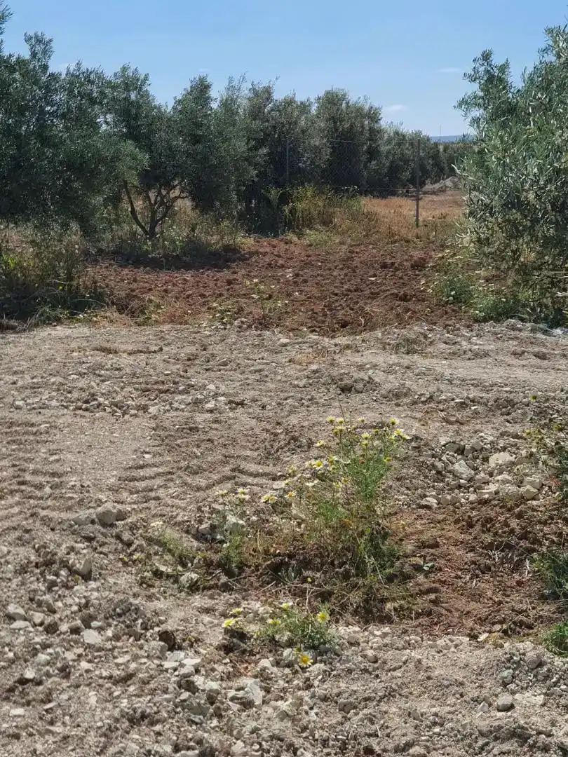 Terreno en venta en Osuna