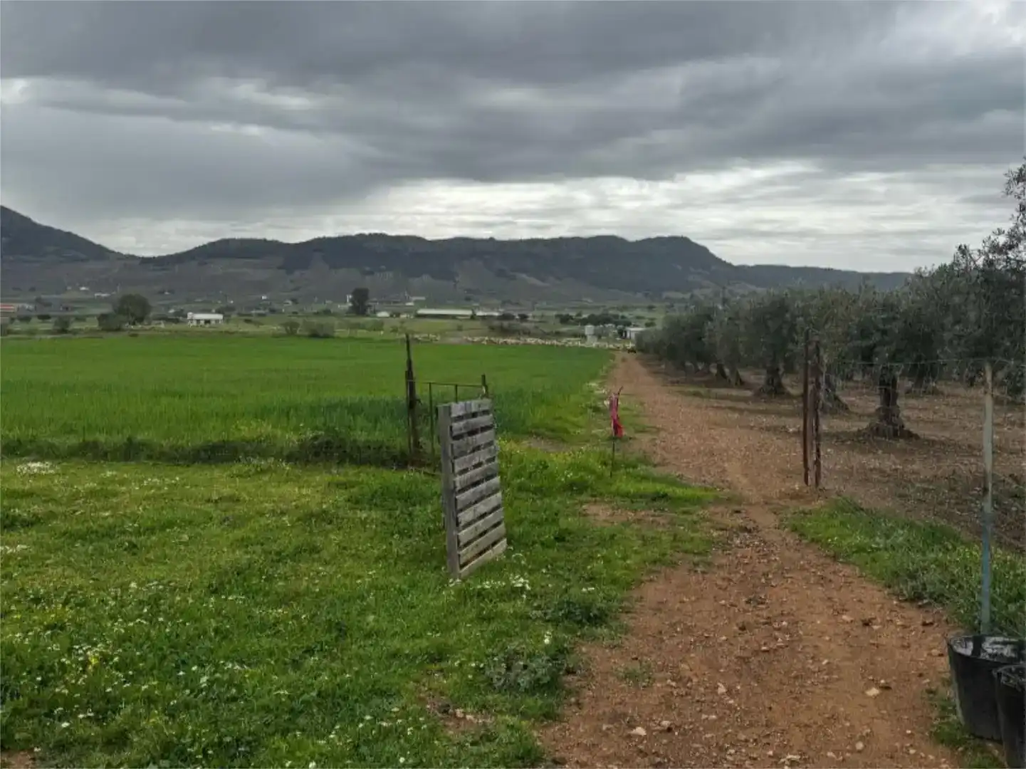 Pis en venda en Cabeza del Buey amb Jardí privat i Traster