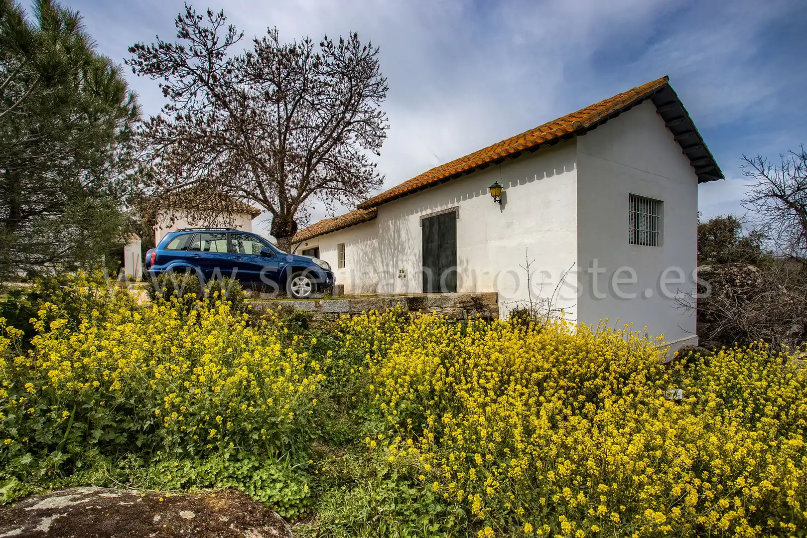 Casa o chalet en venta en Puerto de Galapagar - Las Cuestas