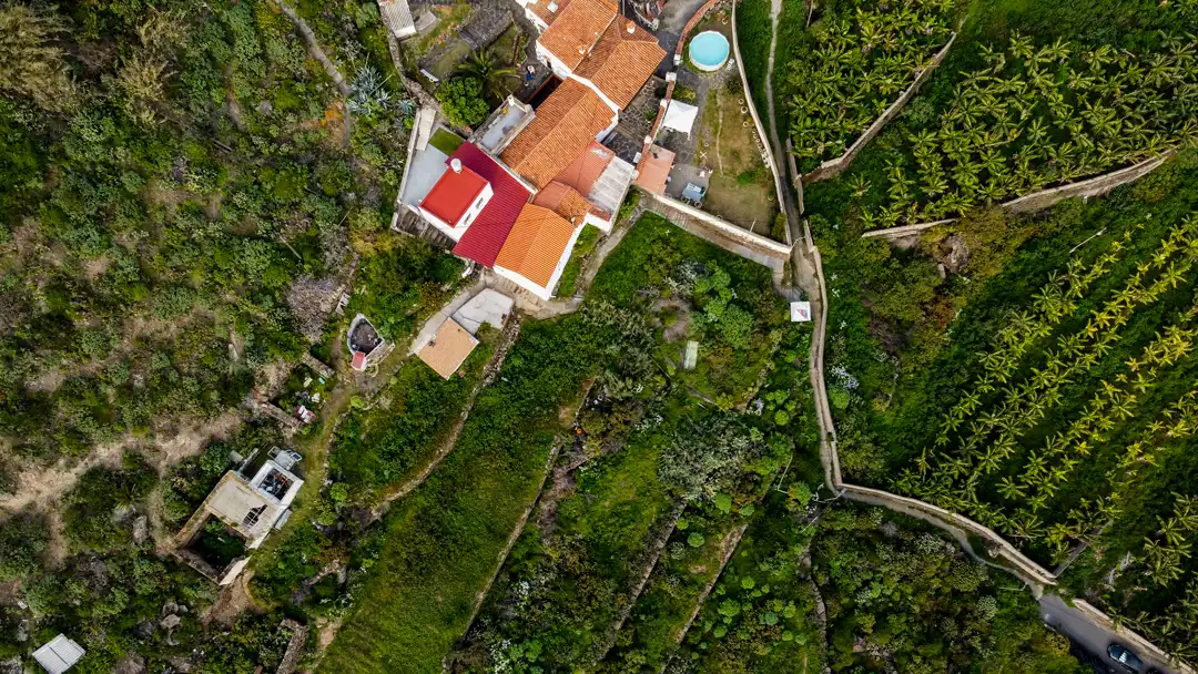 Vista exterior de Finca rústica en venta en Moya (Las Palmas)
