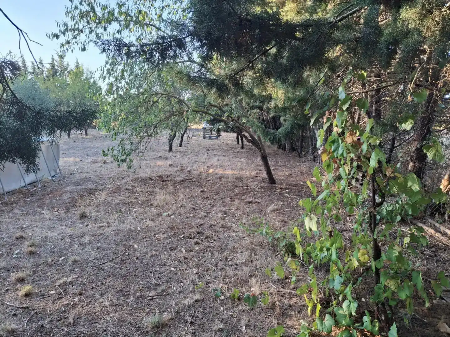 Finca rústica en venda en Barásoain amb Jardí privat i Piscina