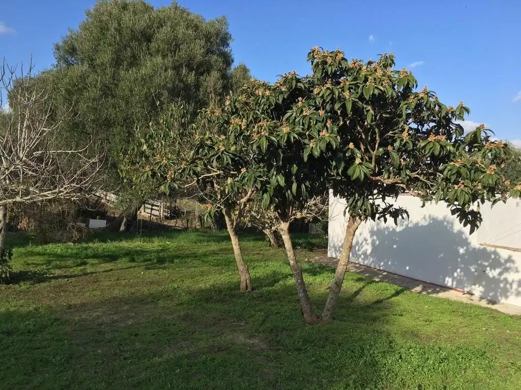 Casa o xalet en venda a La Muela