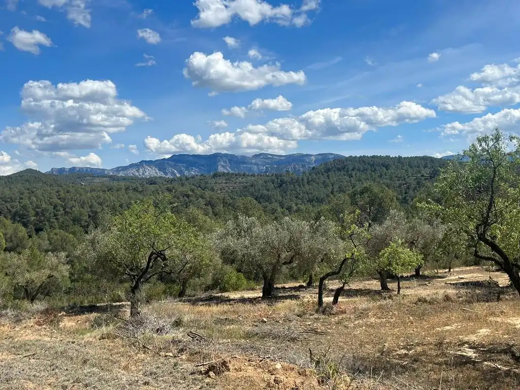 Terreno en venta en Horta de Sant Joan
