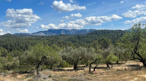 Foto 4 de Terreny en venda a Te-24, 4, Horta de Sant Joan, Tarragona