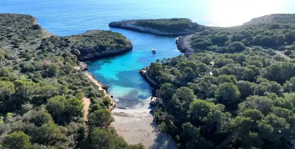 Land for sale in Felanitx