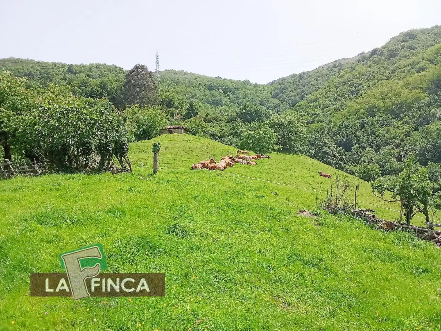 Residencial en venta en Lena