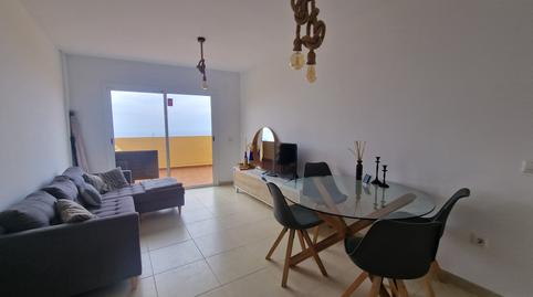 Foto 4 de Pis de lloguer a Carretera Palo Blanco, 159, Palo Blanco, Los Realejos