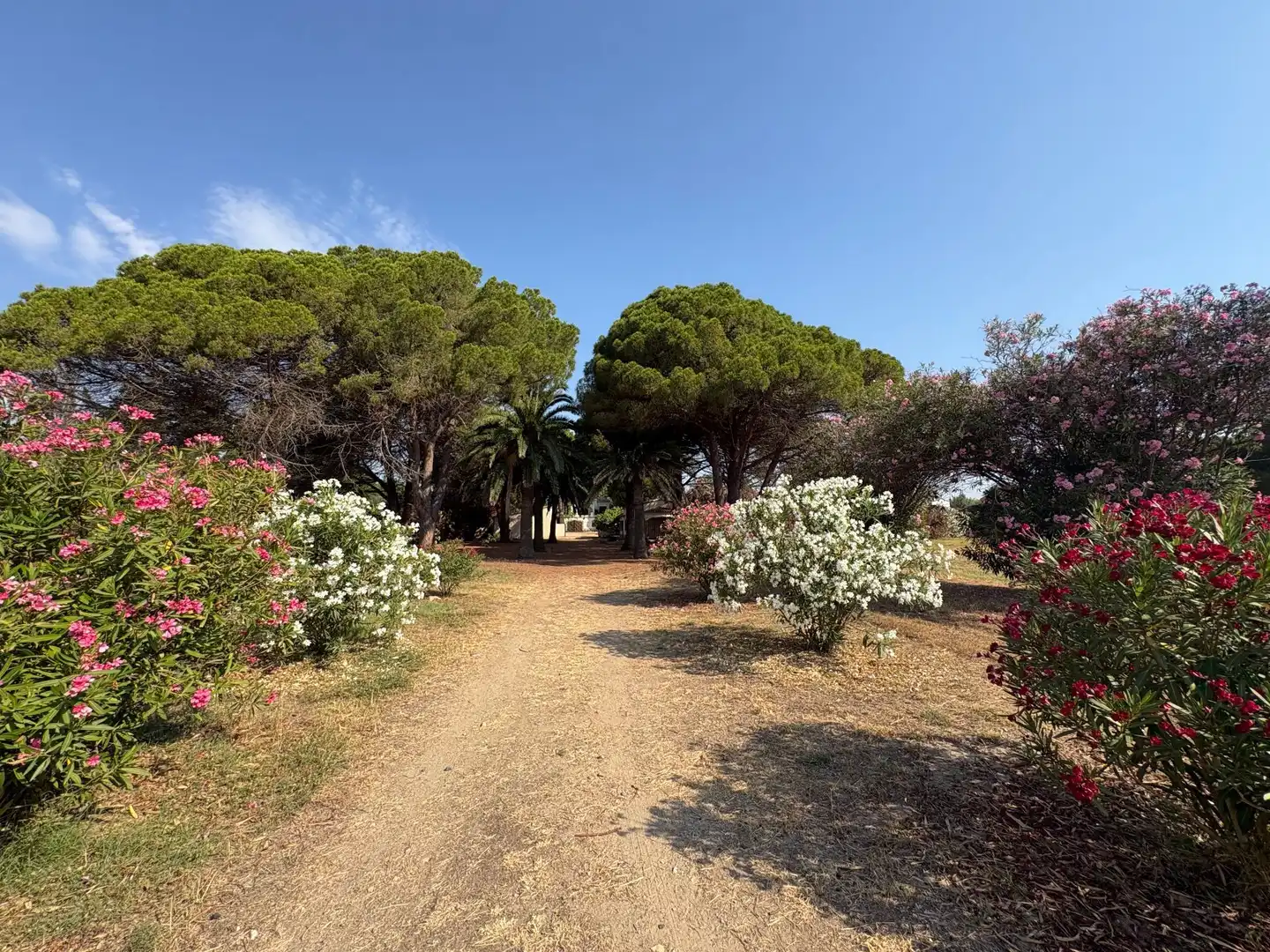 Terreno en venta en POBLAS, 39, Platja de Mont-roig