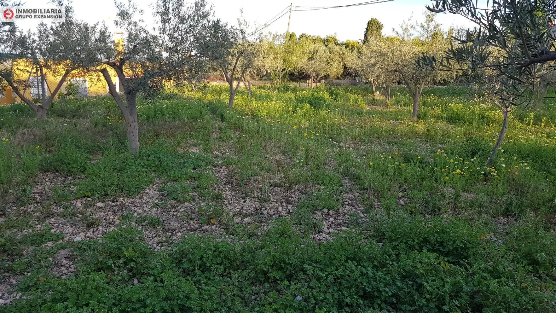 Casa o xalet en venda en Aspe amb Jardí privat, Terrassa i Traster