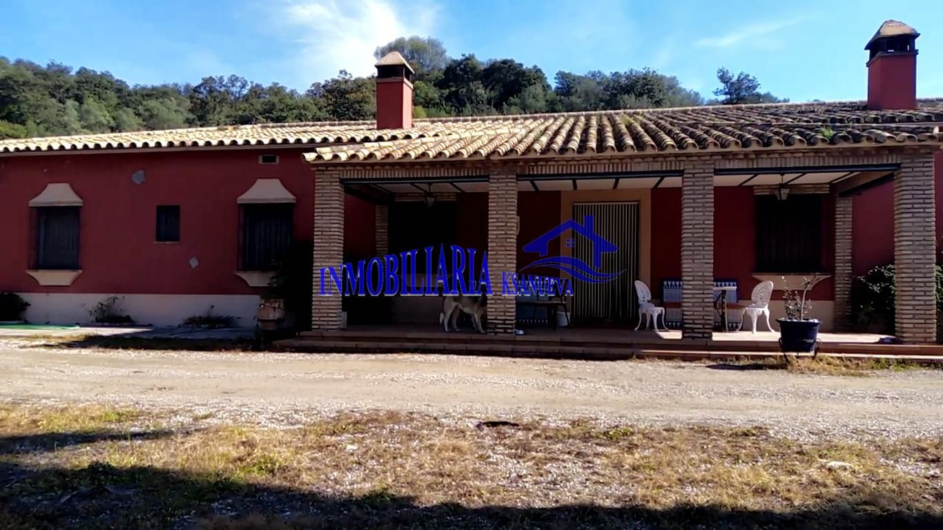 Vista exterior de Finca rústica en venda en Adamuz amb Terrassa i Traster