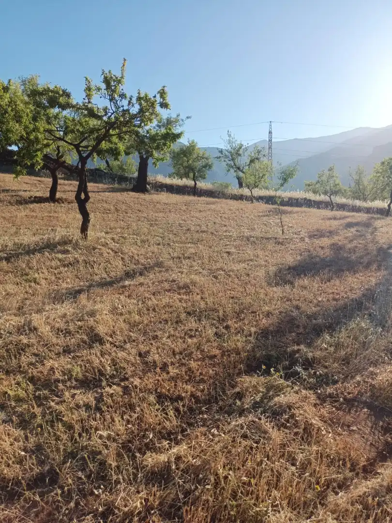 Rural land for sale in Nigüelas, imagen 15