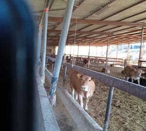 Foto 5 de Terreno en venta en Camino de la Alcoraya, Fontcalent, Alicante / Alacant