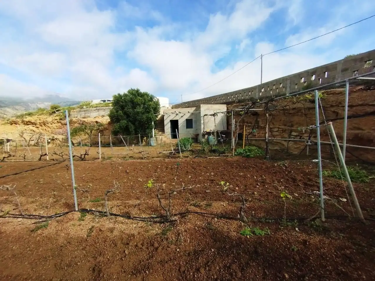 Terreno rustico in vendita a Arico, imagen 4