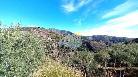 Foto 5 de Finca rústica en venta en Camino de las Herrerías, Yunquera, Málaga