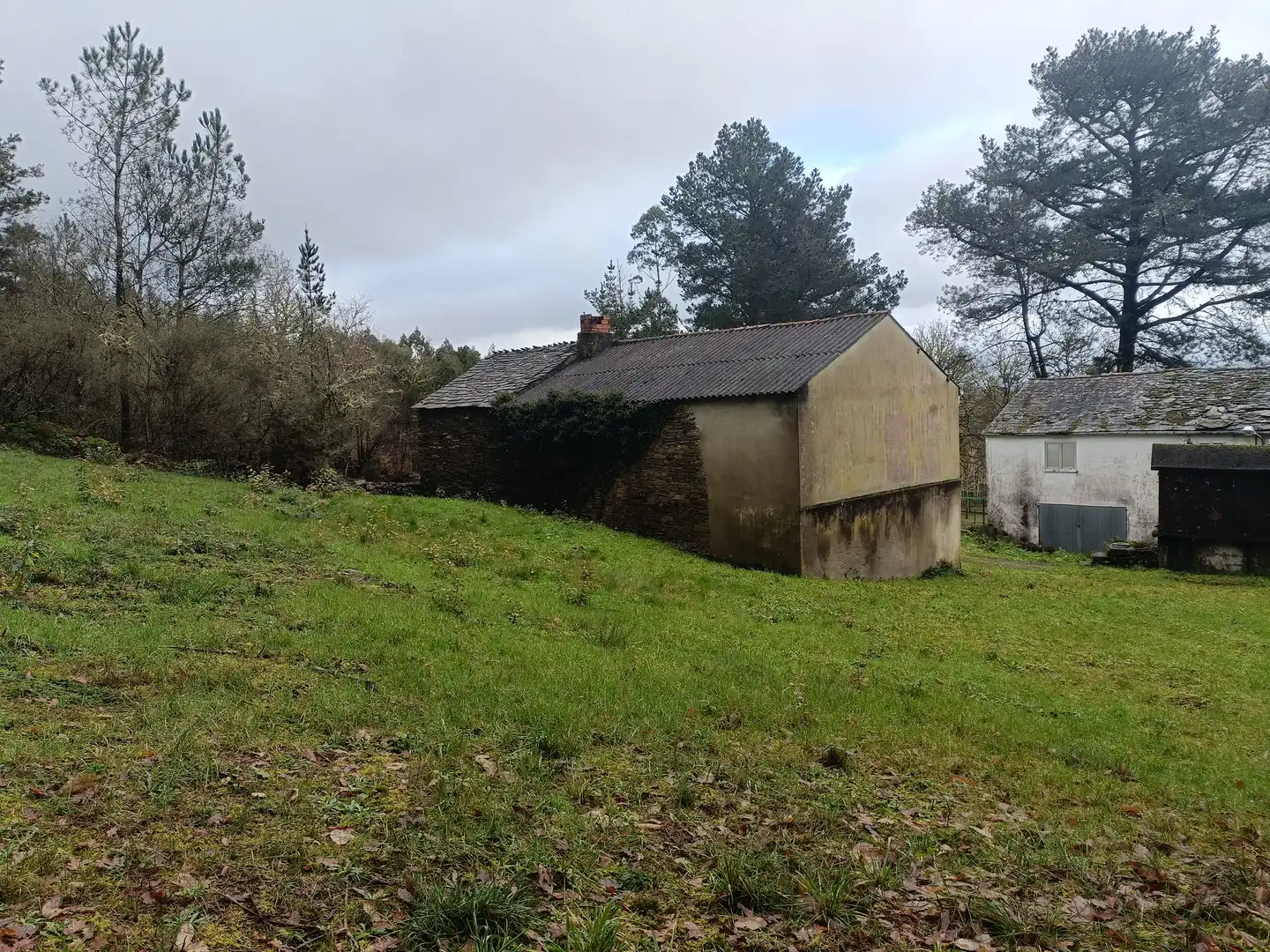 Casa o chalet en venta en Guitiriz con Jardín privado y Trastero